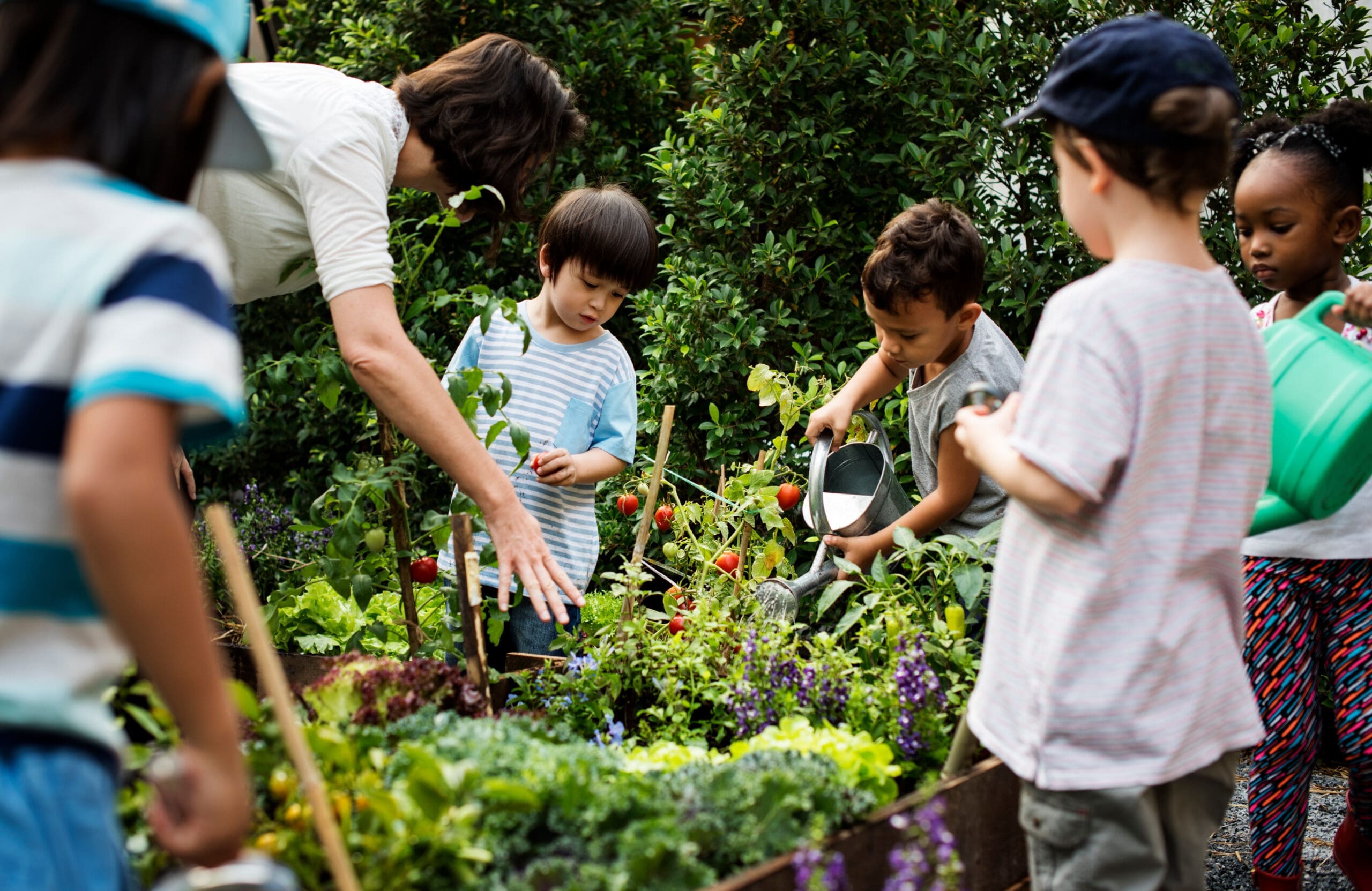 Un groupe d'enfants et un adulte jardinent ensemble. Les enfants, munis d'arrosoirs, s'occupent de diverses plantes dans un jardin luxuriant. La scène est lumineuse et remplie de verdure, illustrant le travail d'équipe et l'apprentissage en plein air.