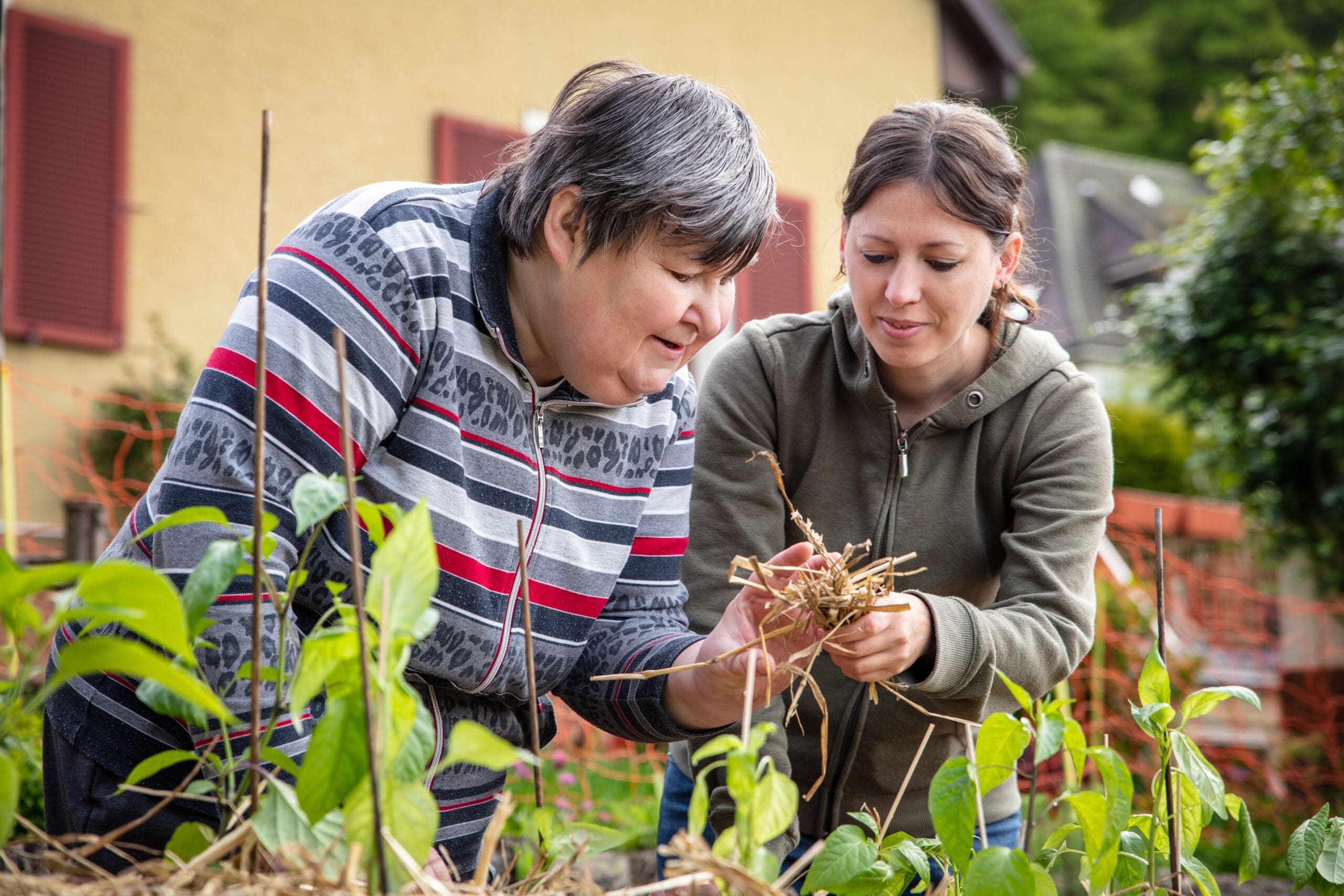 Deux femmes s'occupent ensemble d'un jardin et examinent les plantes de près. L'une porte un pull rayé et l'autre un sweat à capuche vert. Elles sont entourées de plantes vertes et d'un arrière-plan flou représentant une maison et des arbres.