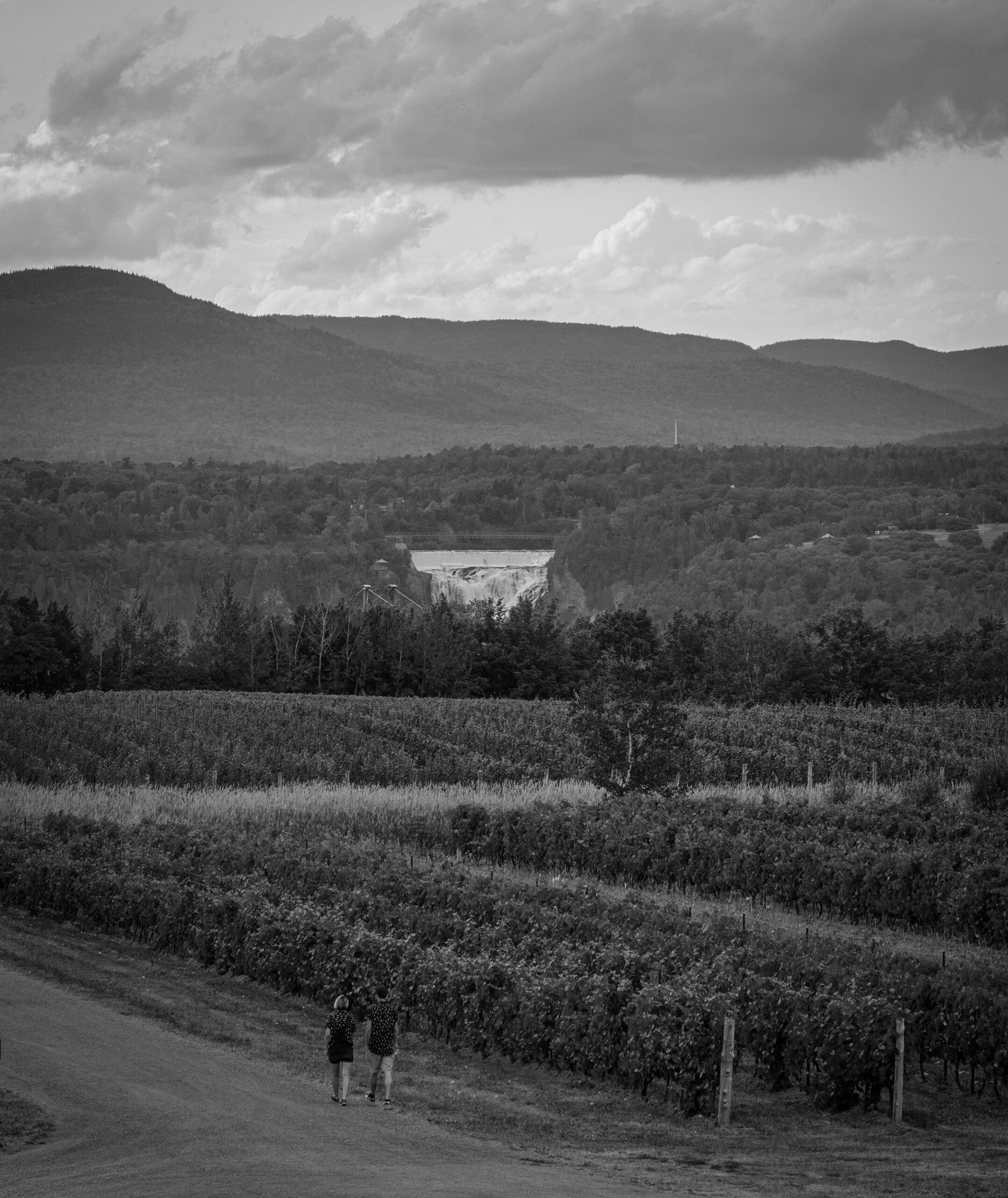 Deux personnes marchent sur un chemin de terre à travers un vignoble avec des rangées de vignes, surplombant des collines ondulantes et un barrage lointain sous un ciel nuageux dans un paysage en noir et blanc.